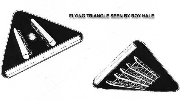 Flying Triangle As Seen By Roy Hale
